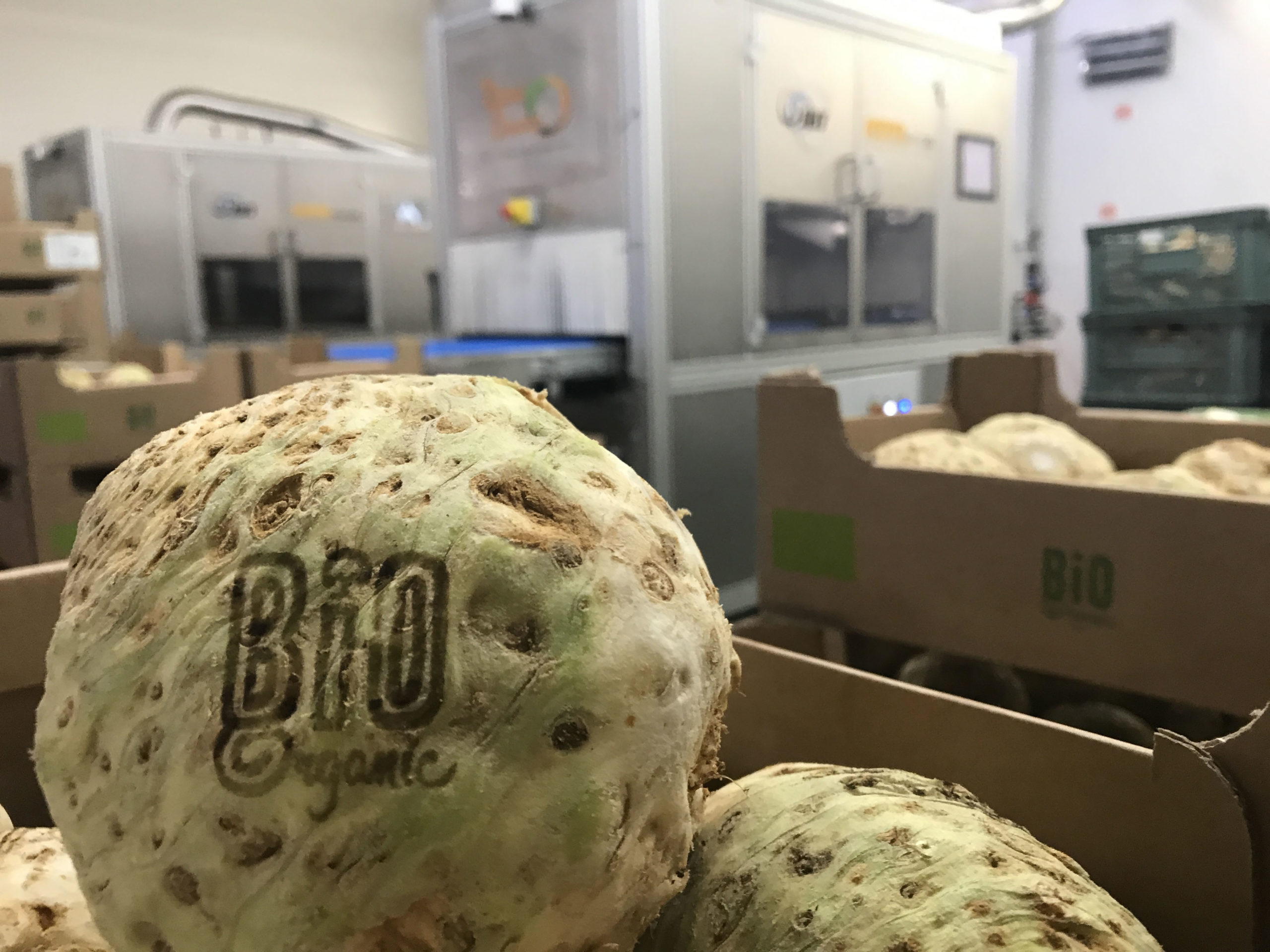 Laser Food lleva 15 años con su tecnología Natural Branding